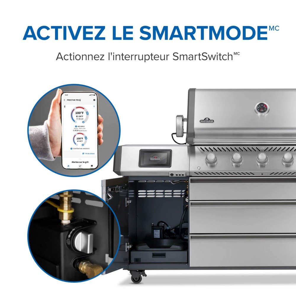 PRO665VXRSIBPSS - Gril Prestige PRO 665 Élite au propane avec technologie intelligente et boîte à fumage électrique - BBQ Québec