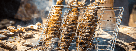 Mes trucs pour cuire des poissons entiers - BBQ Québec