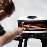 GAPBNCA1424 - GOZNEY - Arc Gas Bone - BBQ Québec
