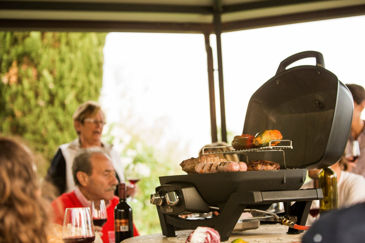 Napoleon TravelQ PRO285 Propane BBQ - BBQ Québec