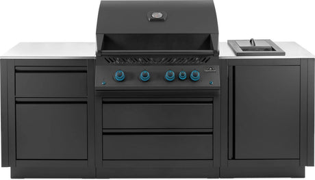 OOK-002 - Napoleon Cuisine OASIS Built-In 32" Comptoir Stainless Phantom LP - BBQ Québec